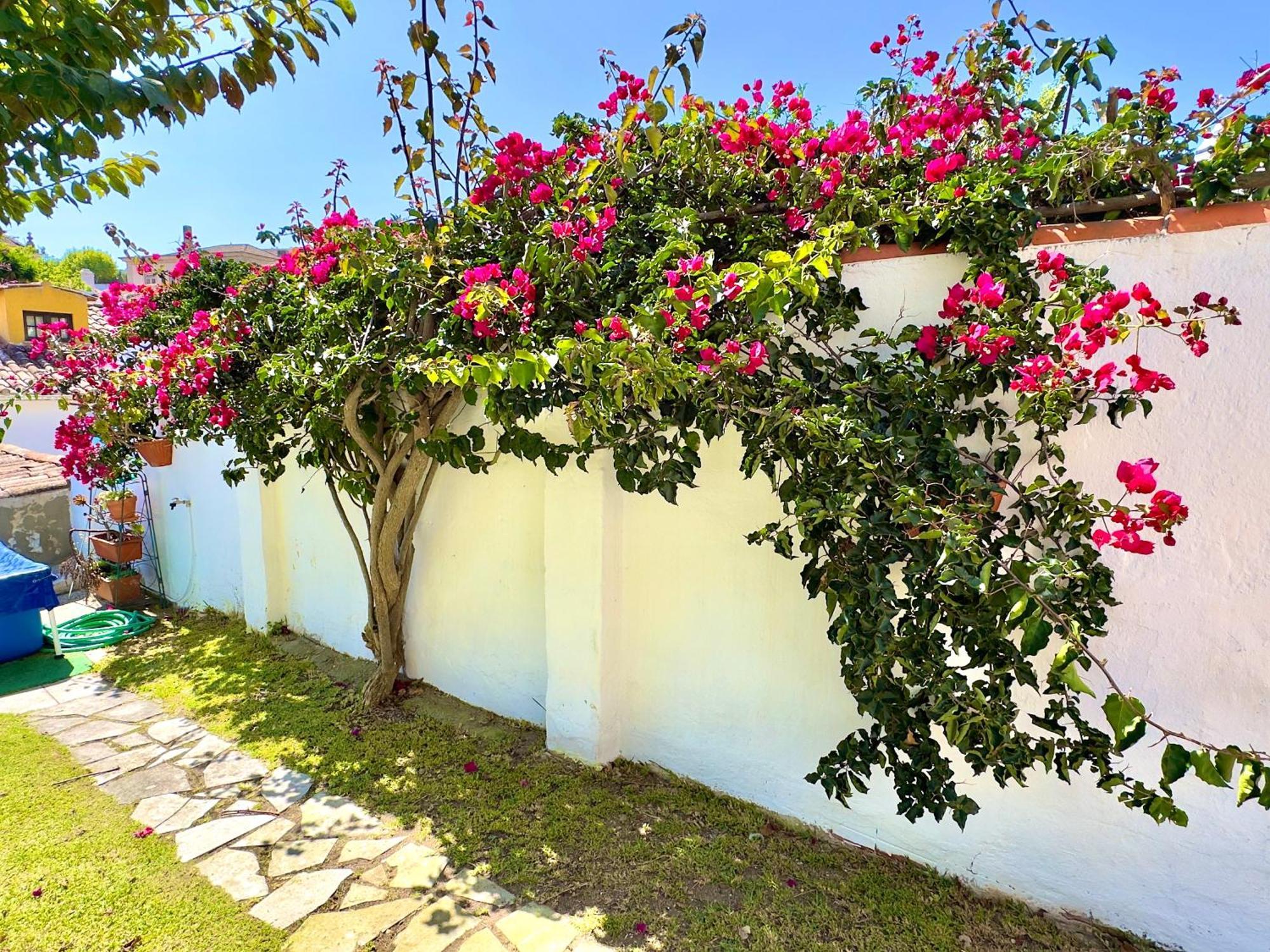Casa Do Candeeiro Óbidos Dış mekan fotoğraf